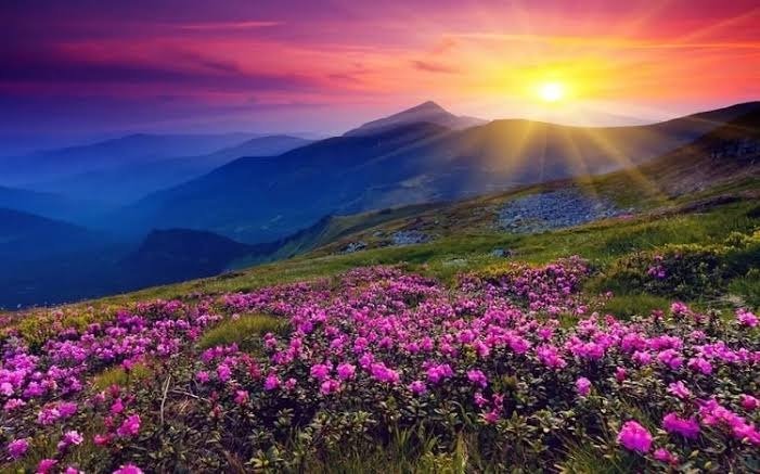 Valley of Flowers & Hemkund Sahib Cab